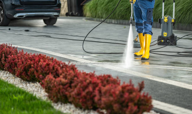 Best Deck Cleaning Services  in University Heights, IA